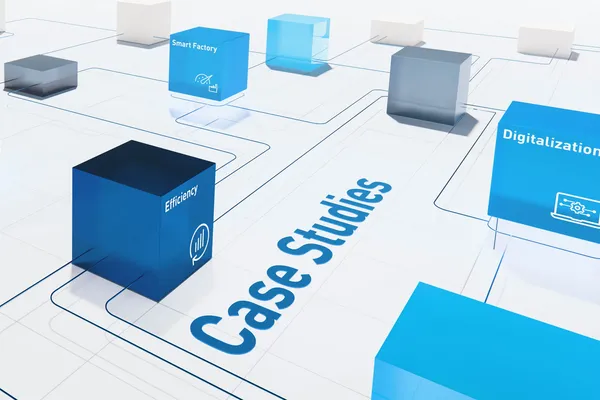 Case Studies